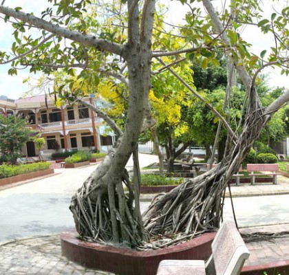BV SKTT HAI DUONG
