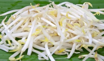 “Thần dược” hạ mỡ máu, ngừa ung thư ...giá lại cực rẻ