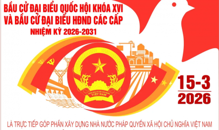 bầu cử